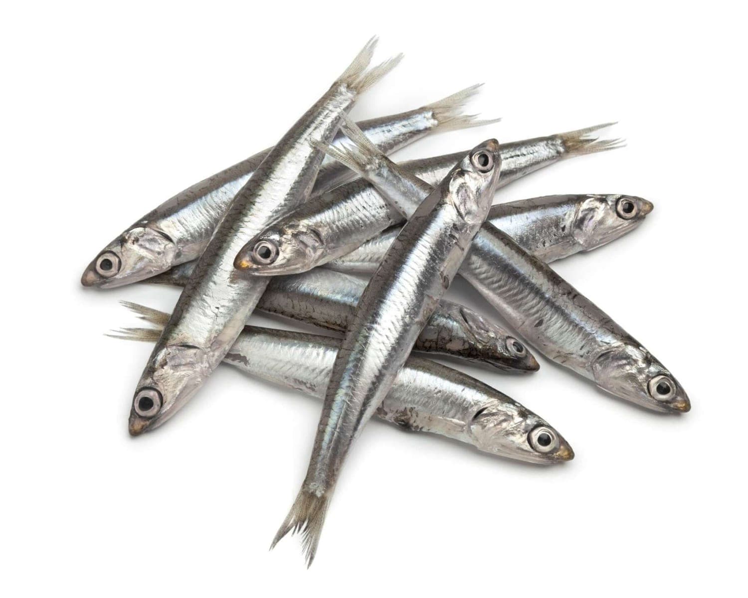 ANCHOIS - 4.550071701720841 dh/kg